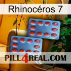 Rhinocéros 7 05